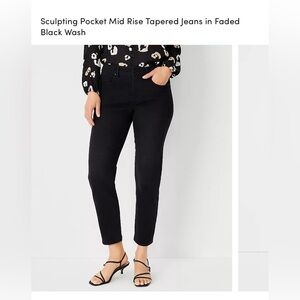 Ann Taylor Women's Petite Short Sculpted pocket mid rise black wash jean